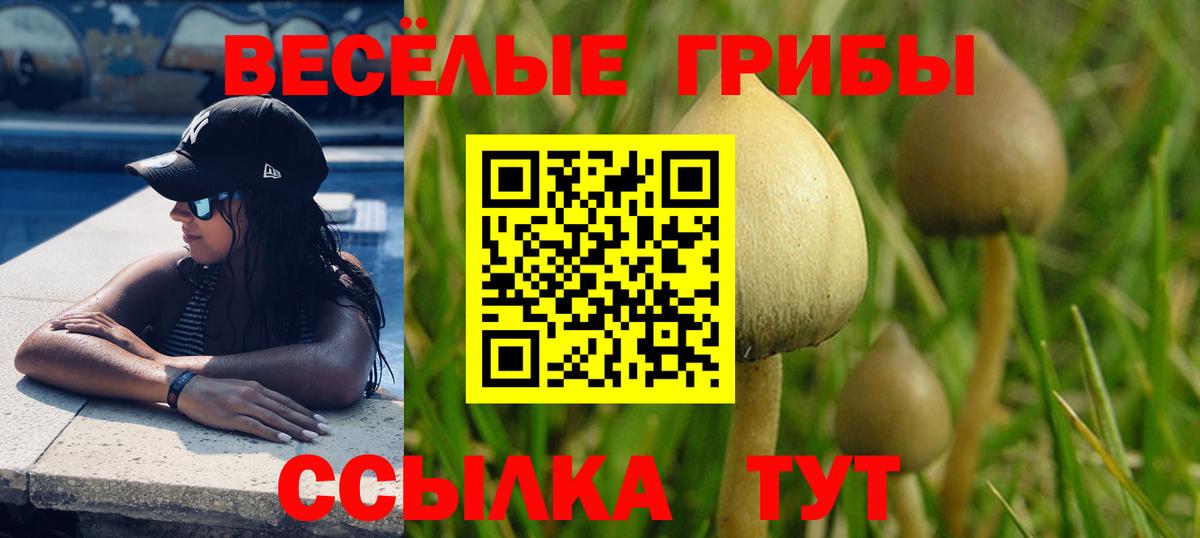 Псилоцибиновые грибы мицелий Димитровград