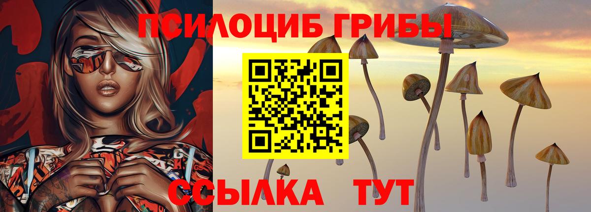 Димитровград  Псилоцибиновые грибы ЛСД  Вход с VPN 